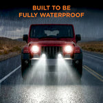 Load image into Gallery viewer, Aux Light AU-2L