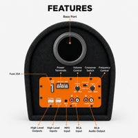 Vibe X 25.4 cm (10") D-Shape Active Bass Tube rear panel – RCA, high-level, AUX inputs, volume, crossover and frequency controls